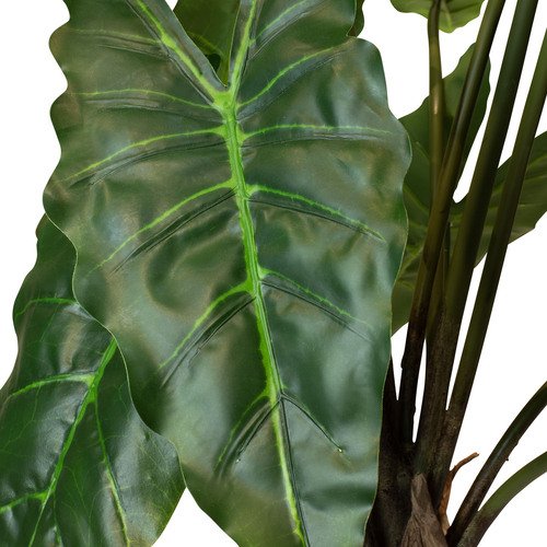 Dirbtinis Alocasia augalas, 80 cm.