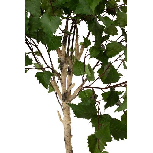 Dirbtinis Birch tree augalas, 193 cm.