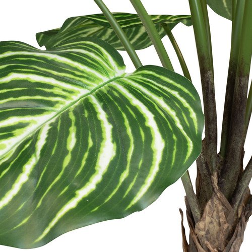 Dirbtinis augalas Calathea, 70 cm