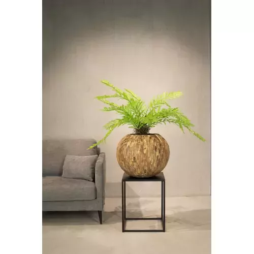 Vazonas Ø 50 cm x 40 cm 1