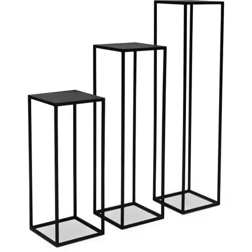 Stovas augalų vazonui, 30 x 30 x 100 cm 2