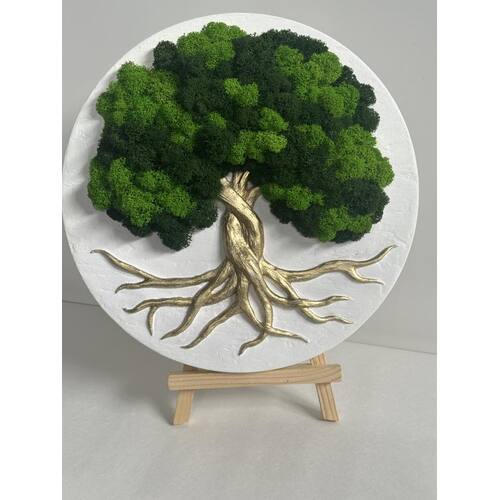 Stabilizuotų samanų dekoracija "Gyvybės medis" 2