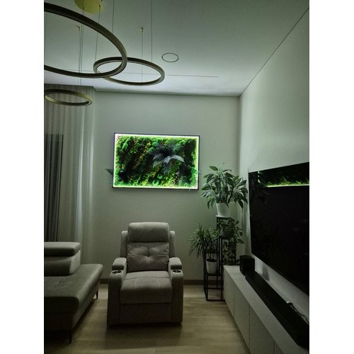 Stabilizuotų samanų paveikslas su LED apšvietimu 2