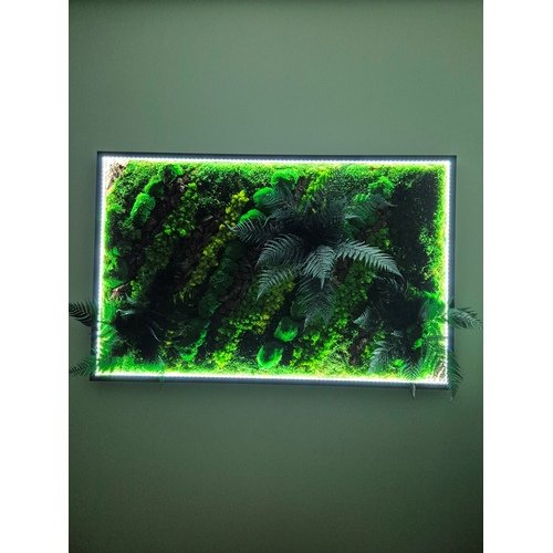 Stabilizuotų samanų paveikslas su LED apšvietimu 6