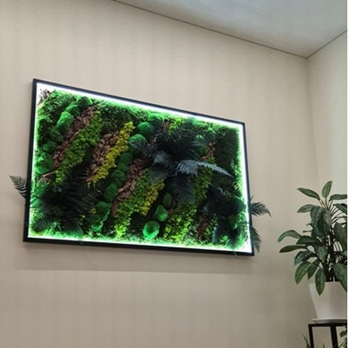 Stabilizuotų samanų paveikslas su LED apšvietimu