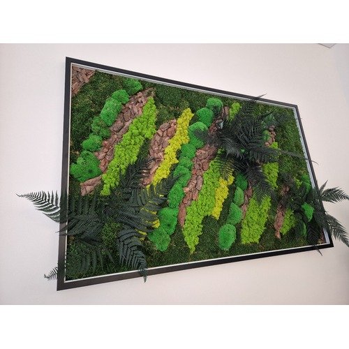 Stabilizuotų samanų paveikslas su LED apšvietimu 3