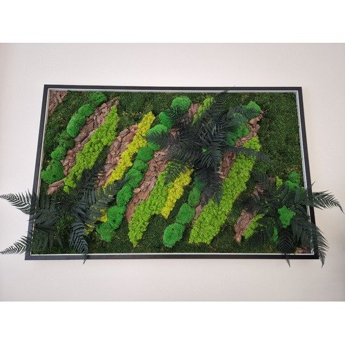 Stabilizuotų samanų paveikslas su LED apšvietimu 4