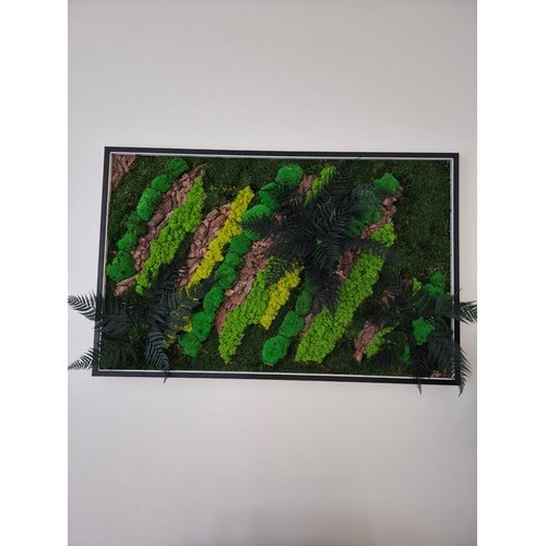 Stabilizuotų samanų paveikslas su LED apšvietimu 5