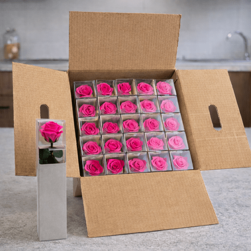 25 vnt.stabilizuotų ryškiai rožinės spalvos rožių puokštė, 30 cm ilgio 1