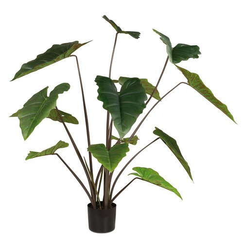 Dirbtinis Alocasia Elephant augalas, 137 cm.