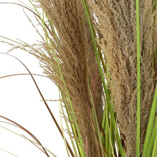 Dirbtinis Cortaderia Pampas Grass augalas, 150 cm.