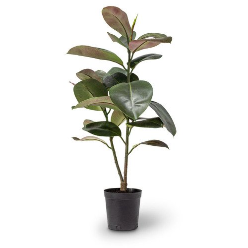 Dirbtinis Ficus Elastica augalas, 94 cm.