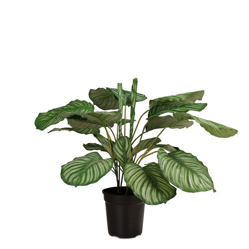 Dirbtinis augalas Calathea, 90 cm