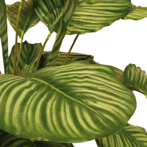 Dirbtinis augalas Calathea, 90 cm