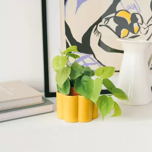 Augalus drėkinantis vazonas, geltonas 1