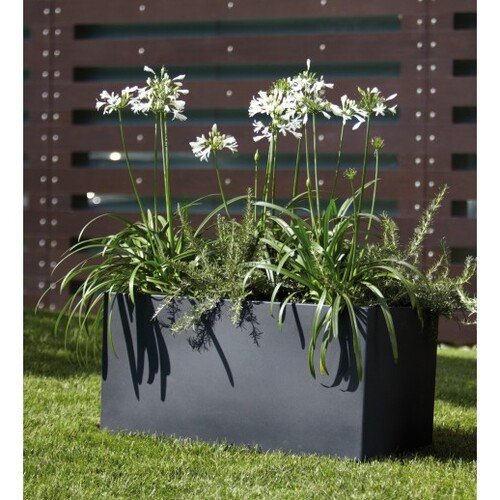 80x40x40cm lovelis 1