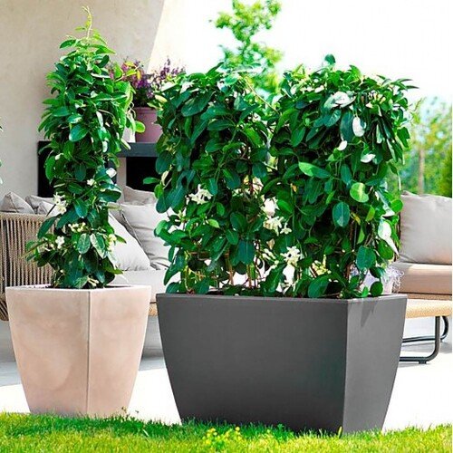 80x40x50cm vazonas 1