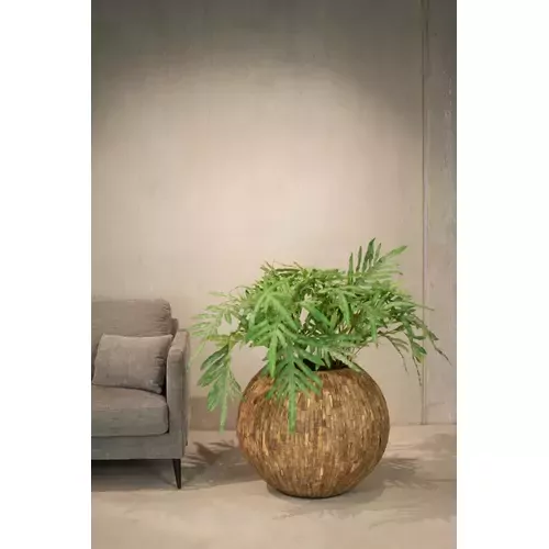 Vazonas Ø 70 cm x 56 cm