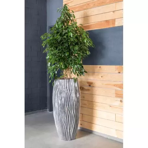 Vazonas Ø 38 cm x 70 cm