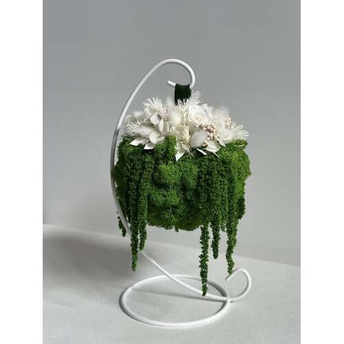 Kabanti stabilizuotų augalų puokštė 2