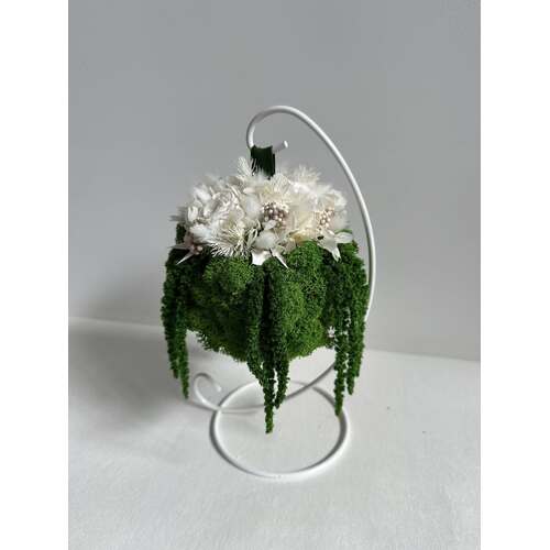 Kabanti stabilizuotų augalų puokštė 5