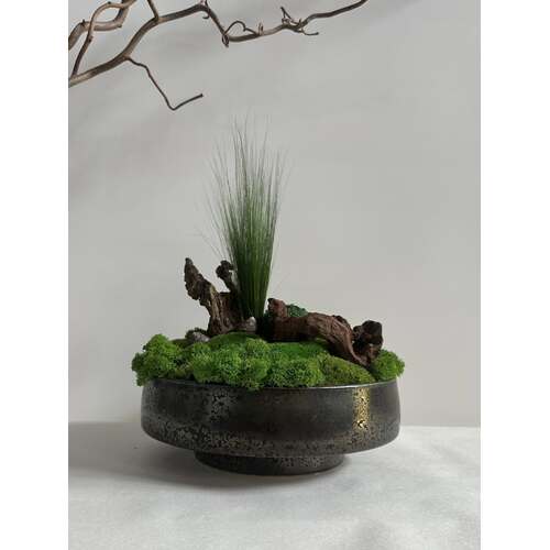 Dekoracija su stabilizuotomis samanomis 1