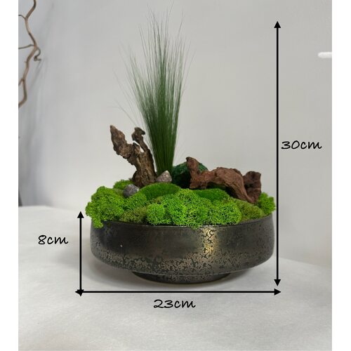 Dekoracija su stabilizuotomis samanomis 2