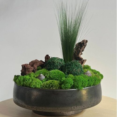 Dekoracija su stabilizuotomis samanomis