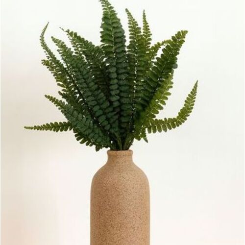 Stabilizuotų paparčių puokštė