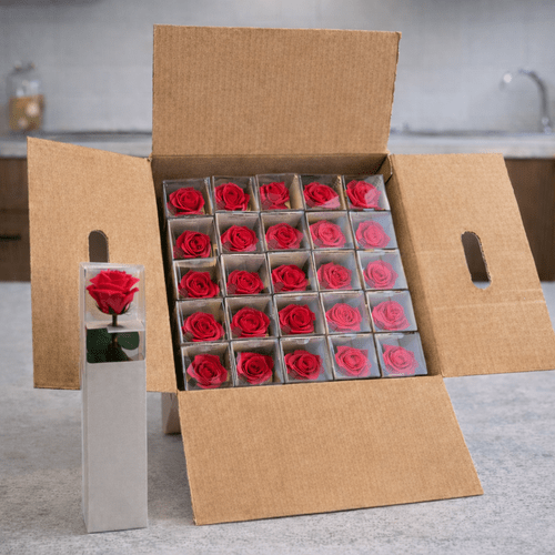 25 vnt.stabilizuotų raudonų rožių puokštė, 30 cm ilgio 1