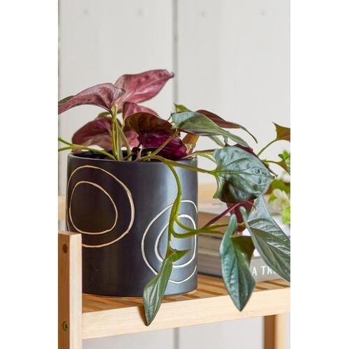 Juodas keraminis vazonas 1