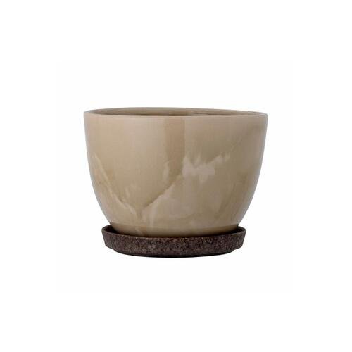 Vazonas su lėkštele