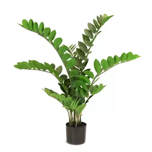 Dirbtinis Zamioculcas augalas, 100 cm.