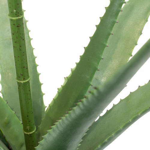 Dirbtinis Aloe Vera augalas, 85 cm.