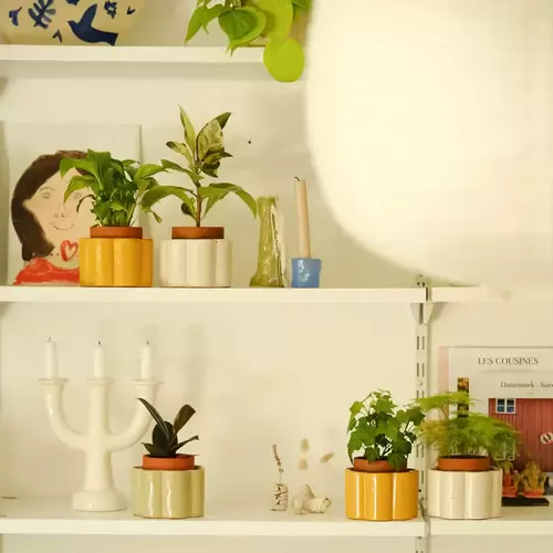 Augalus drėkinantis vazonas, žalsvas 2