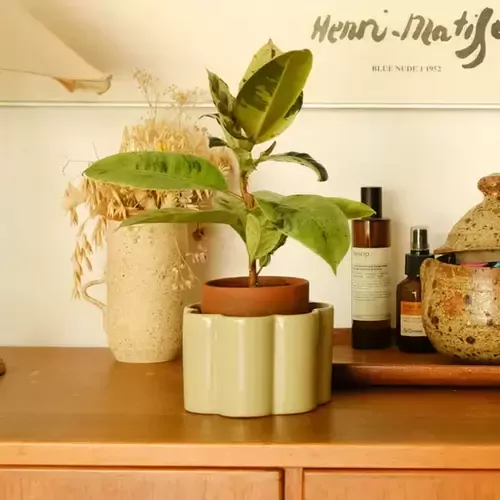 Augalus drėkinantis vazonas, žalsvas 1