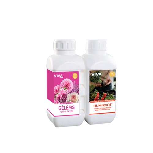 Rinkinys 500+500 ml (premium gėlėms, humiroot)