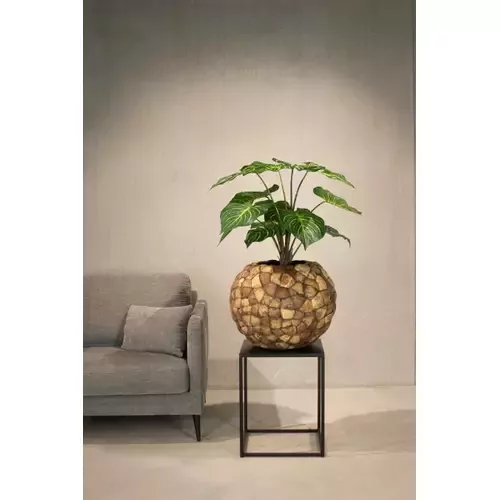 Vazonas, Ø50 cm x 40 cm