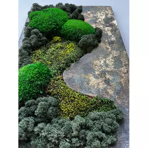 Paveikslas su stabilizuotomis samanomis