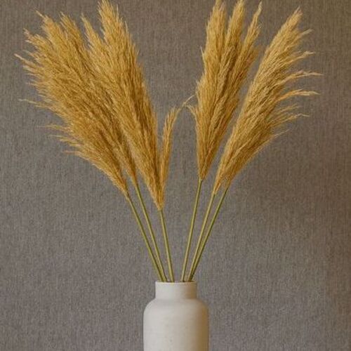 Stabilizuotų augalų puokštė